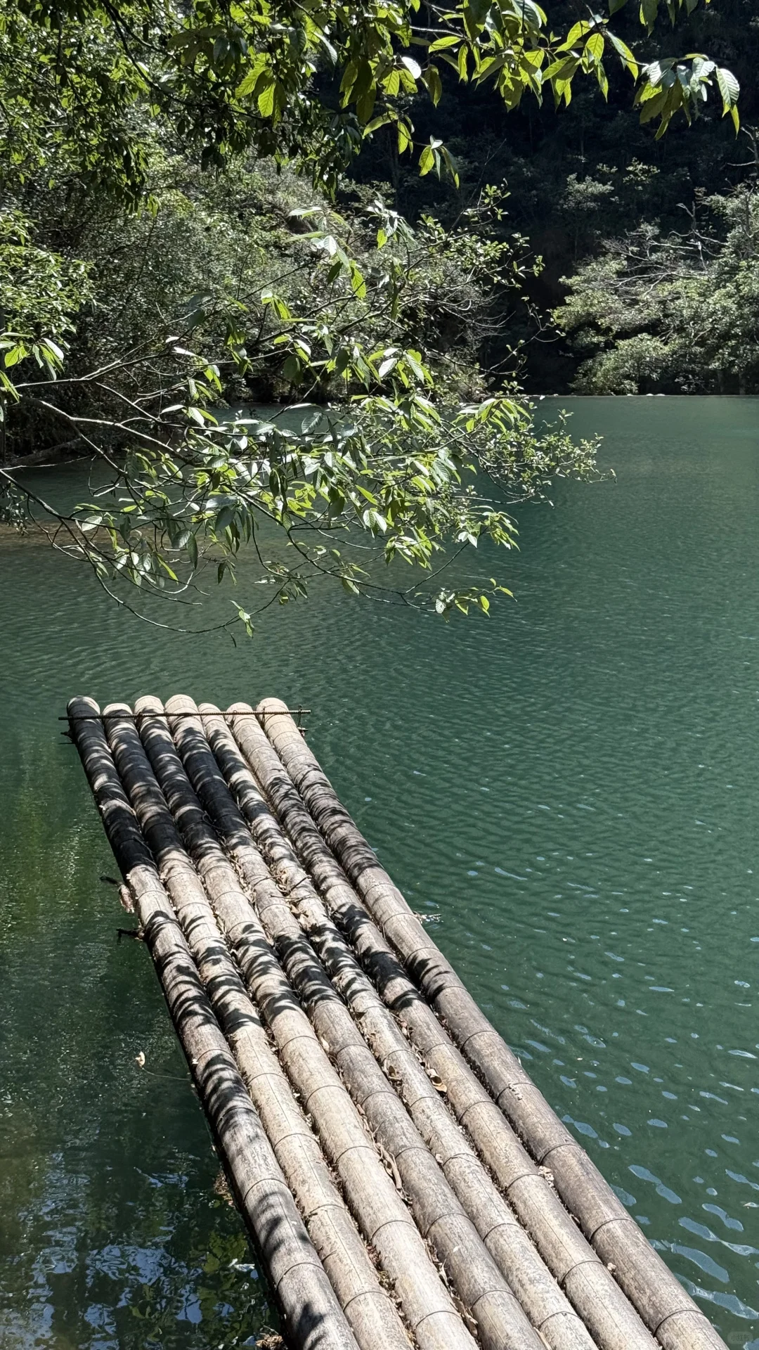 浙江金华道观招义工