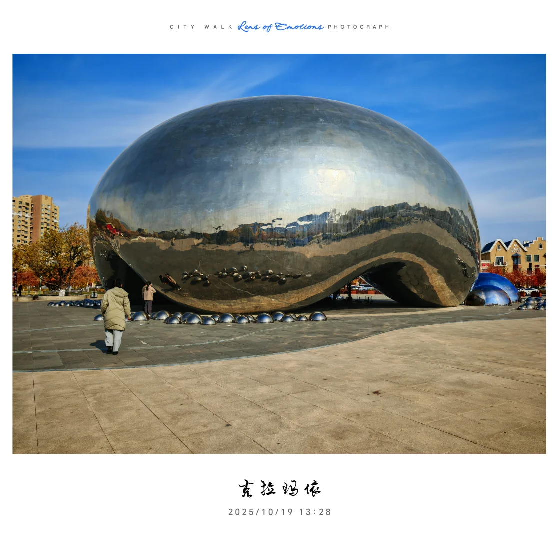 求职往返千余里，唯经务实得正道