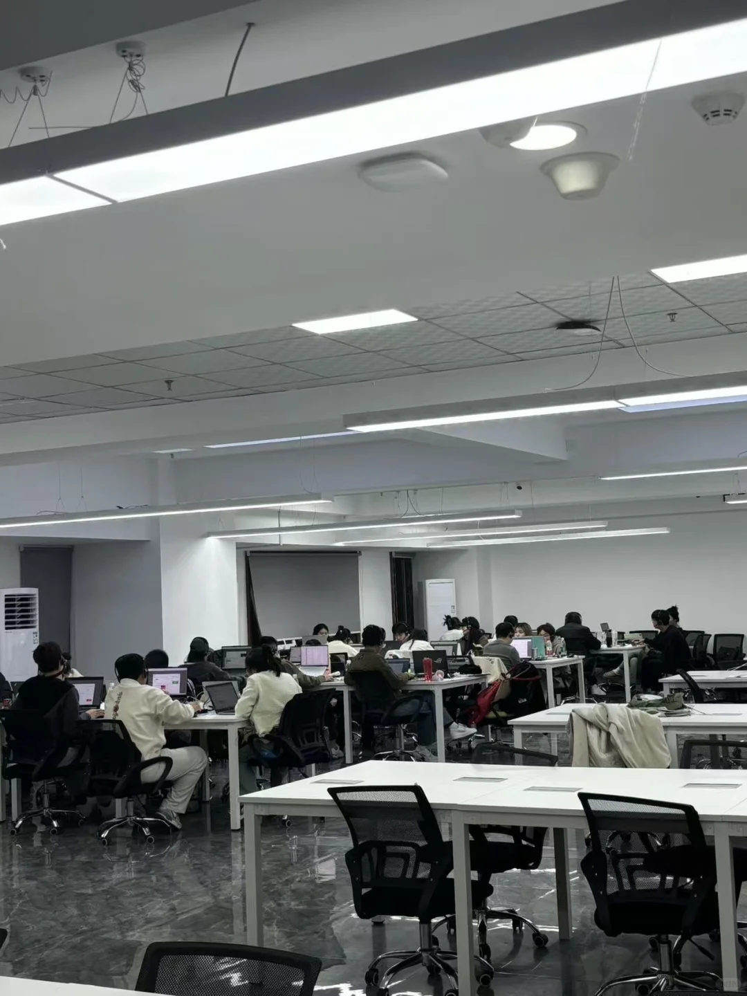 锦书在线工作第三天啦！