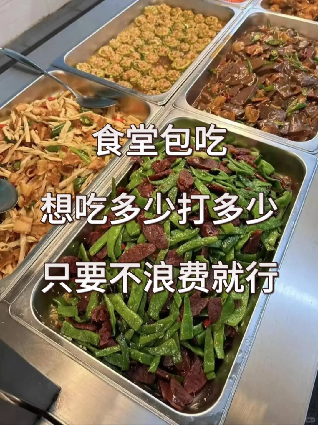 东莞没找到工作的宝宝们都可以看过来了哦