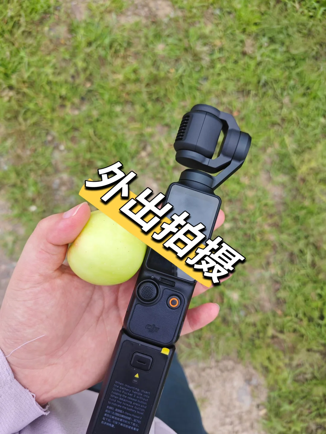 在农业公司上班的日常😍，你能接受吗