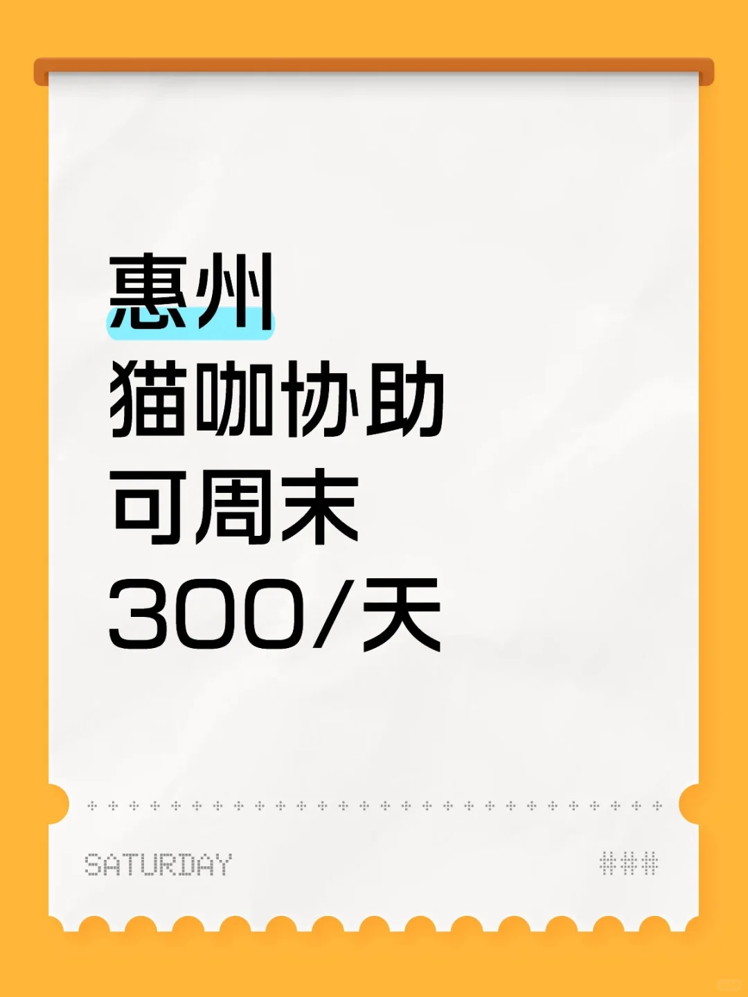 惠州爱猫人士集合！300/天，猫咖帮忙！