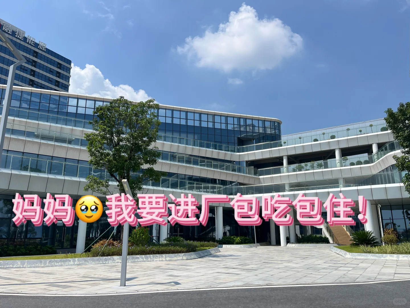 什么！广州首富开的厂！那必须去尝尝咸淡了