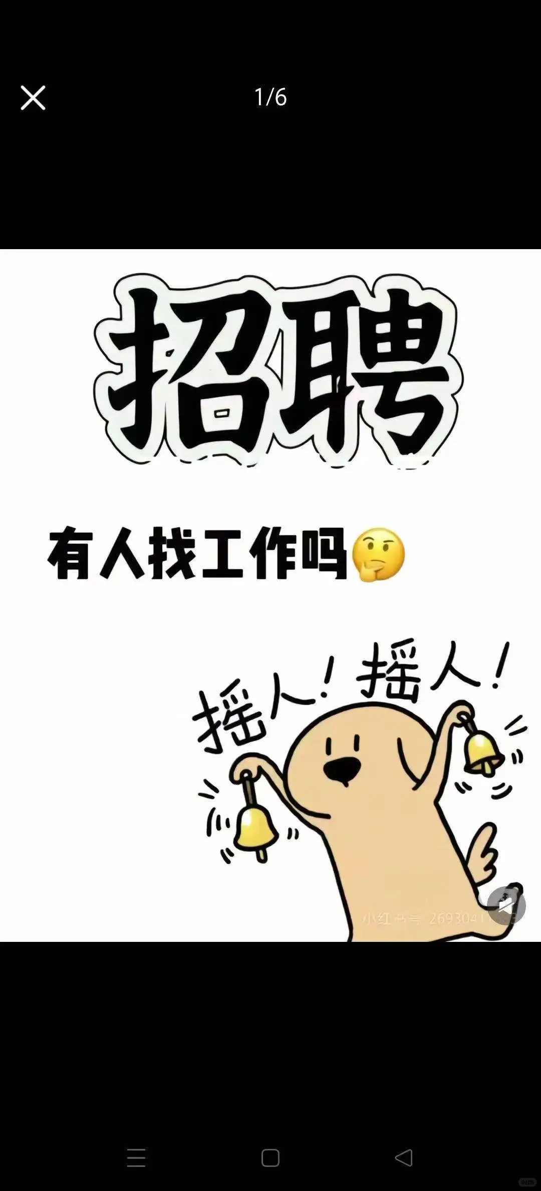 招兵买马(广东韶关仁化)