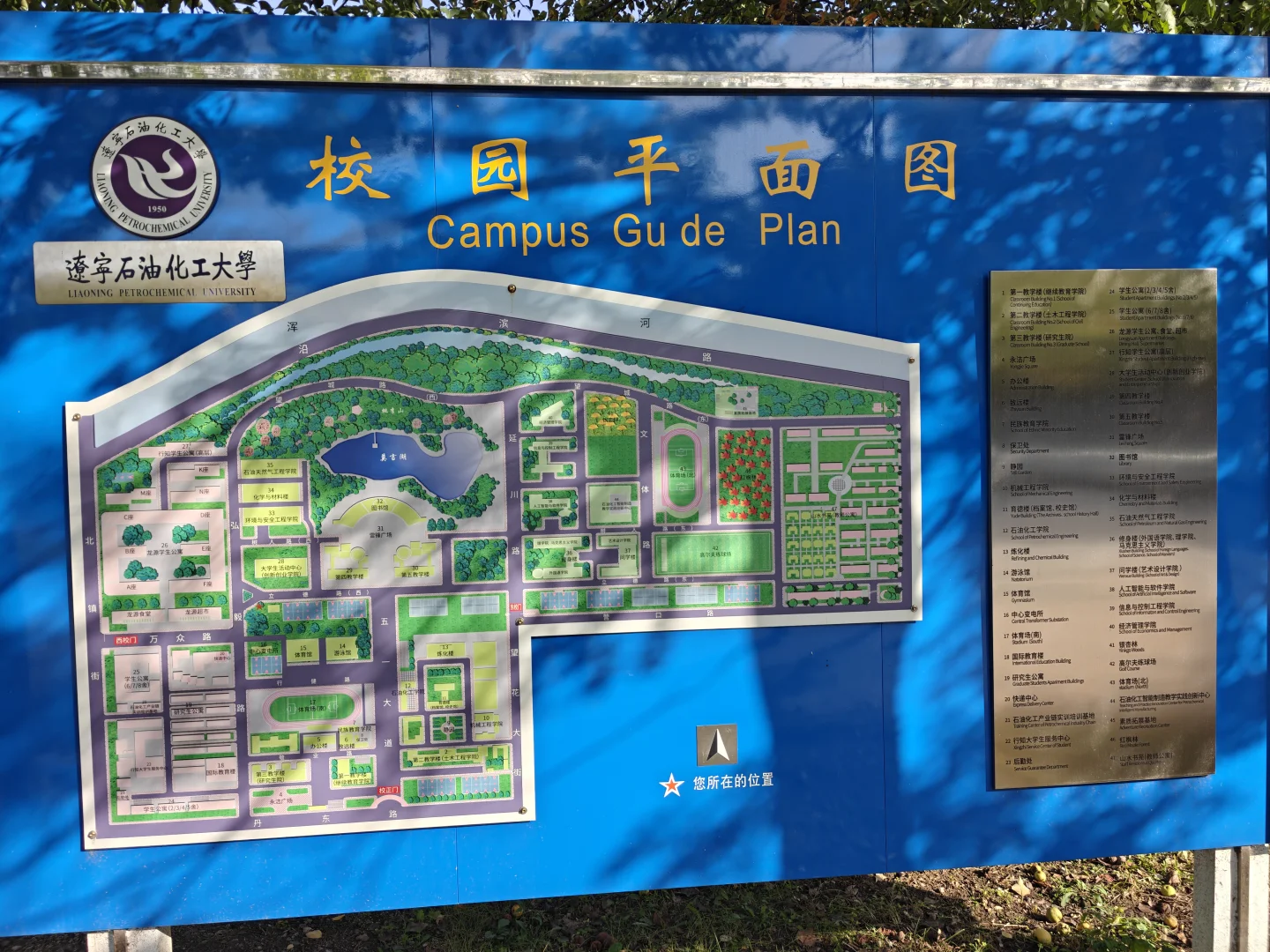高考倒计时986天陪娃成长日记20250925