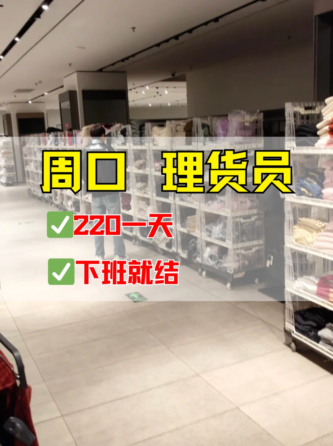 周口川汇区，理货员220一天