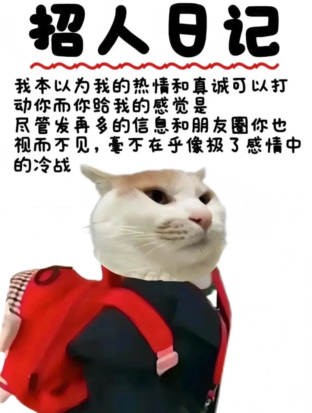 姐，招人，有经验，有想法！