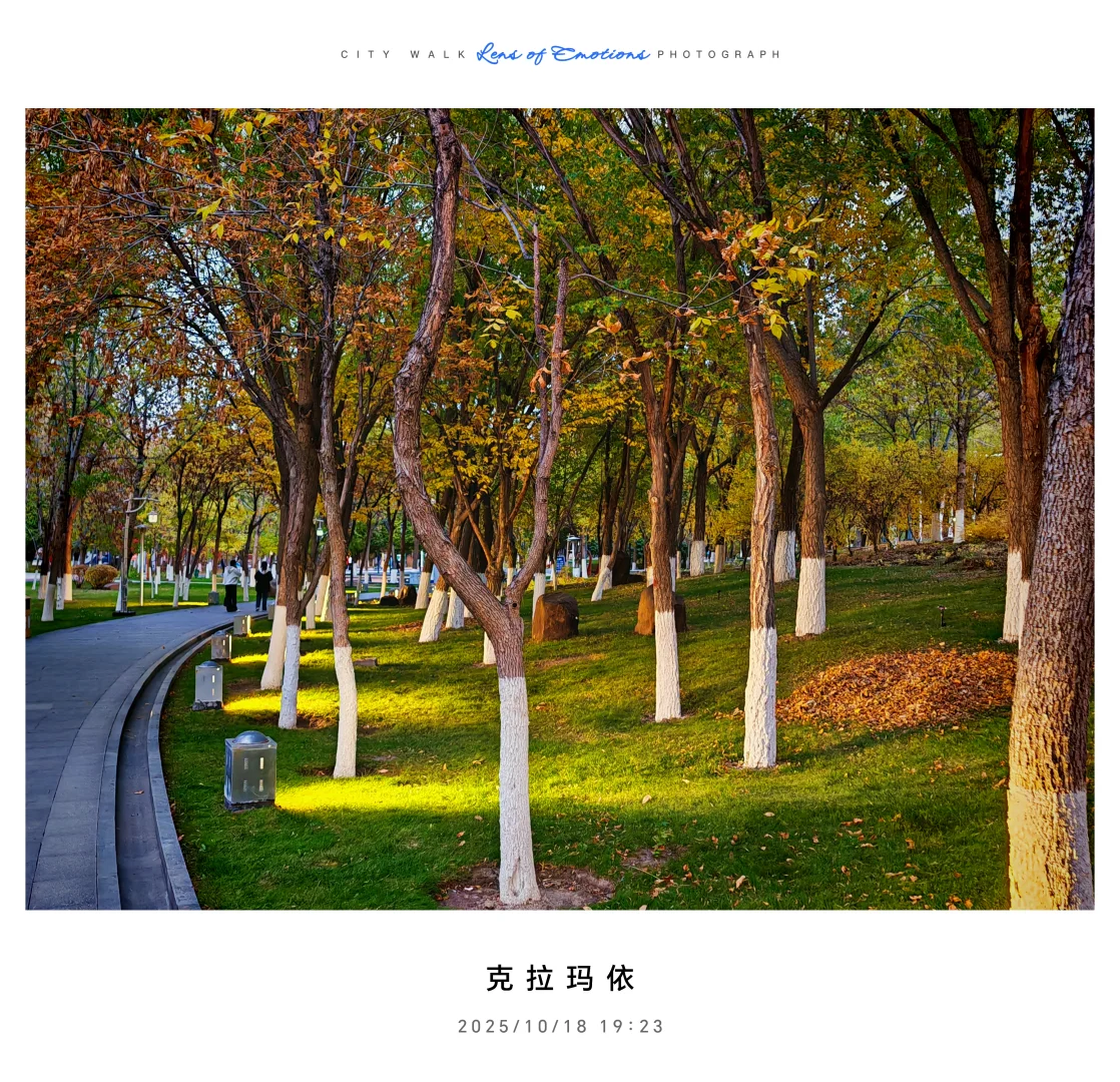 求职往返千余里，唯经务实得正道