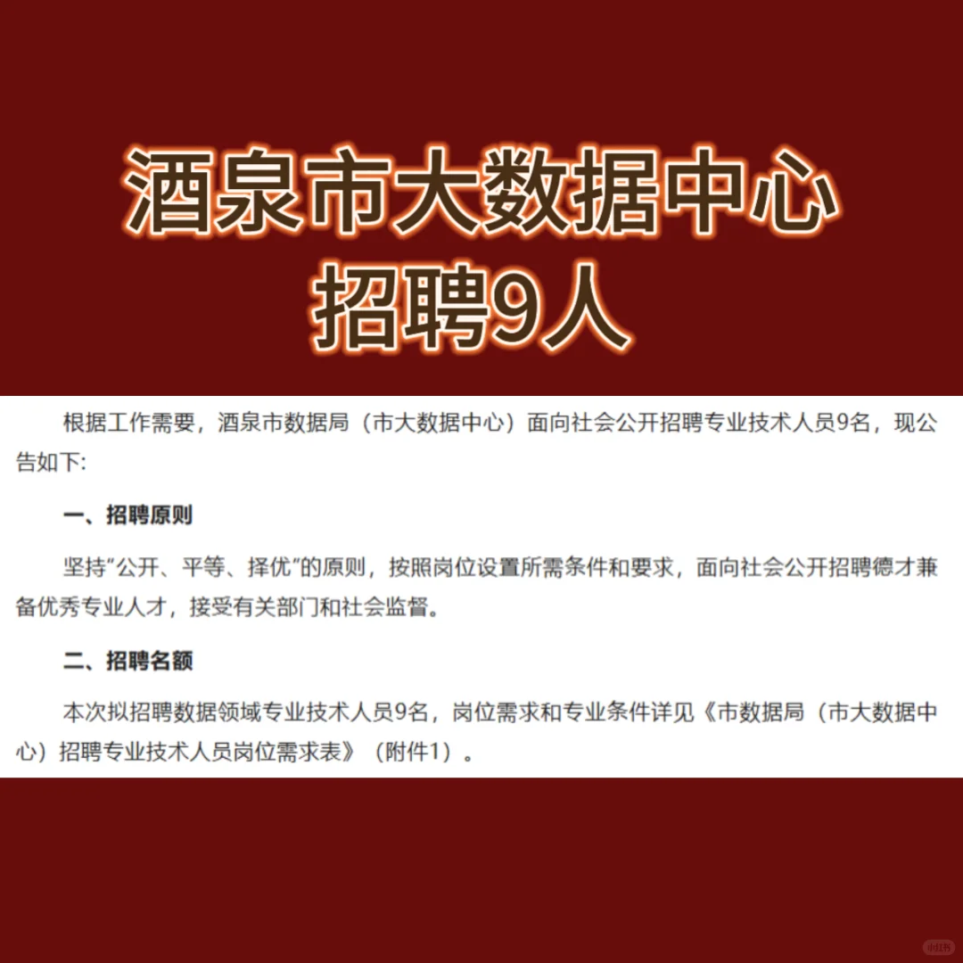 酒泉市大数据中心招聘9人