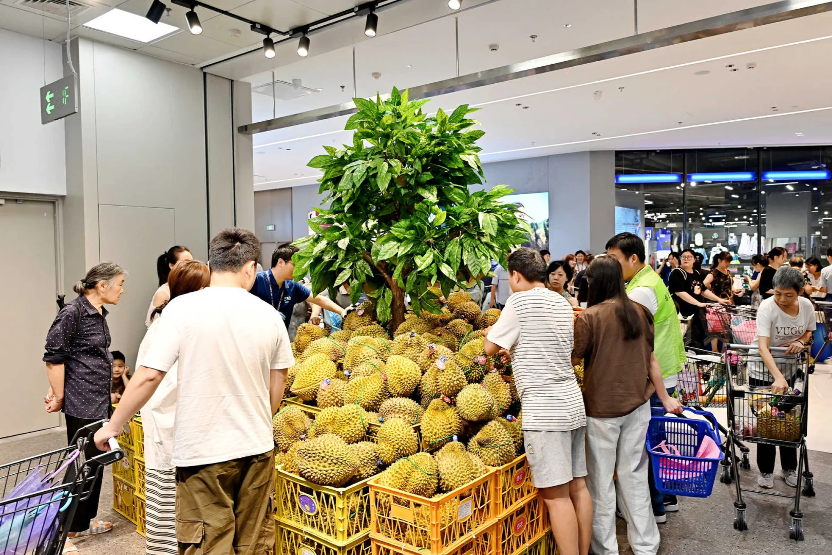成都盒马西宸店开业啦！