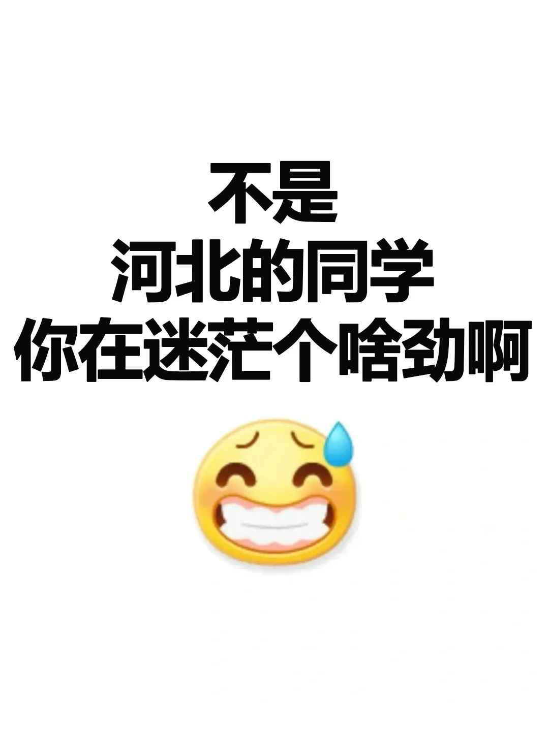 不是河北的同学，你在迷茫个啥劲啊