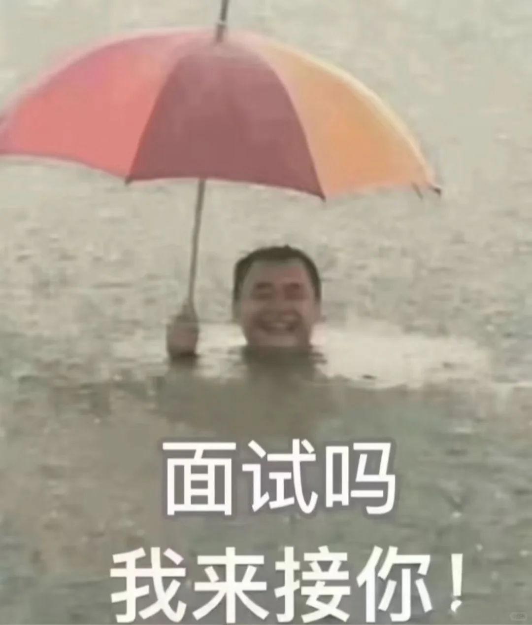 找工作进！