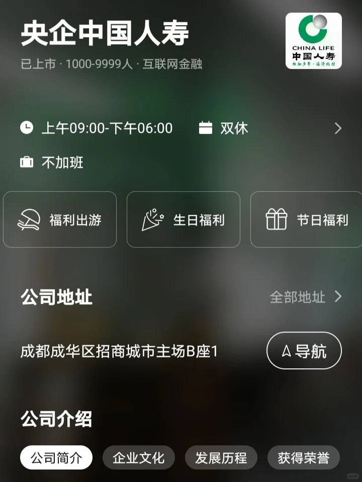 成都双休不卷公司｜双非友好版
