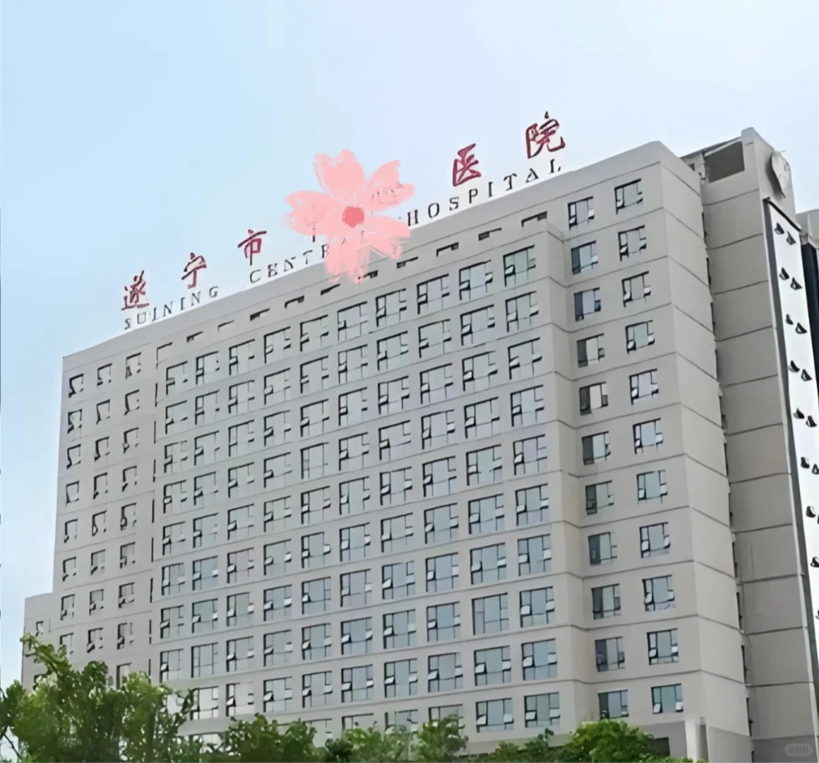 遂宁市公立🏥护士➕文职