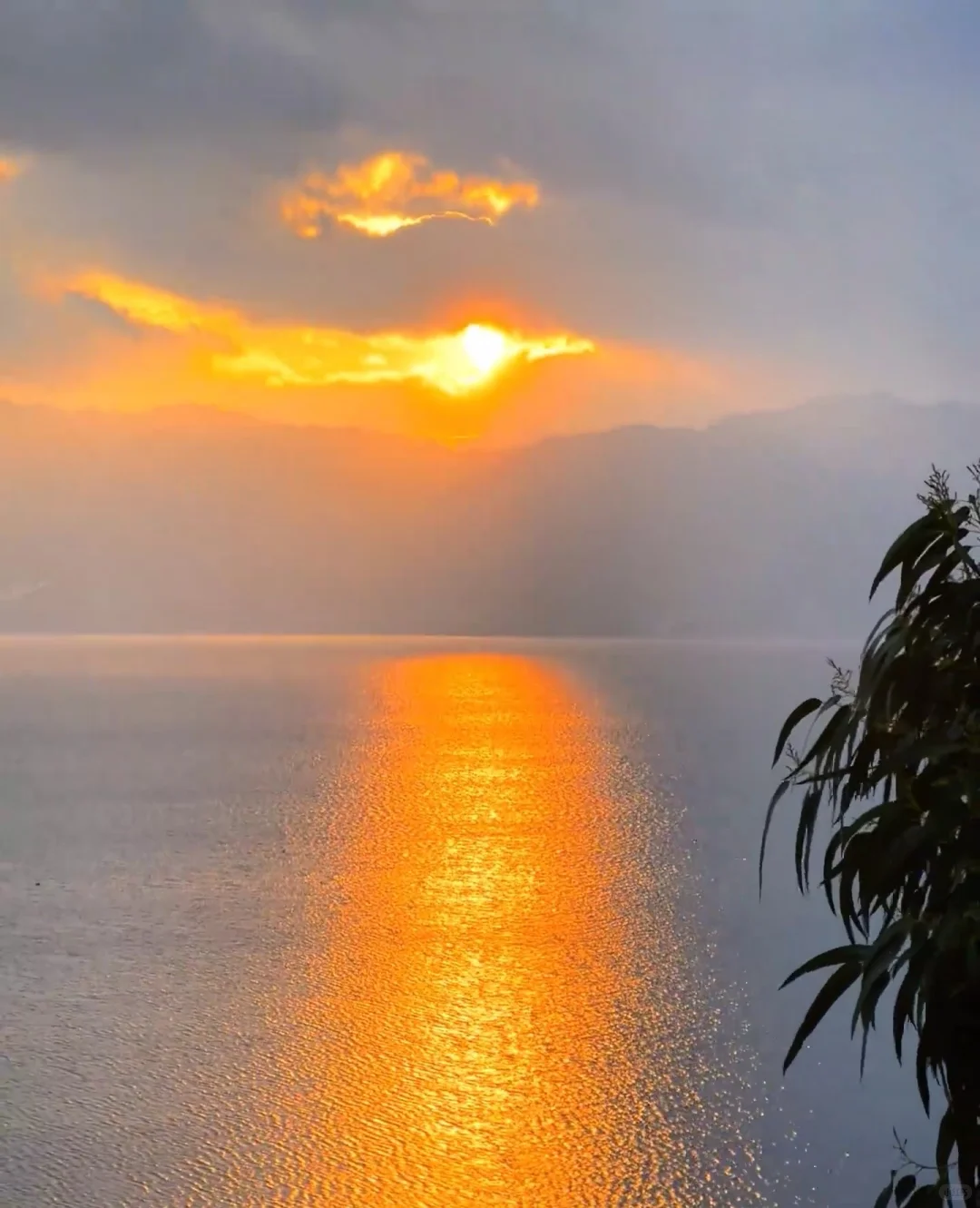 上海事业单位上海外国语大学行政岗推荐