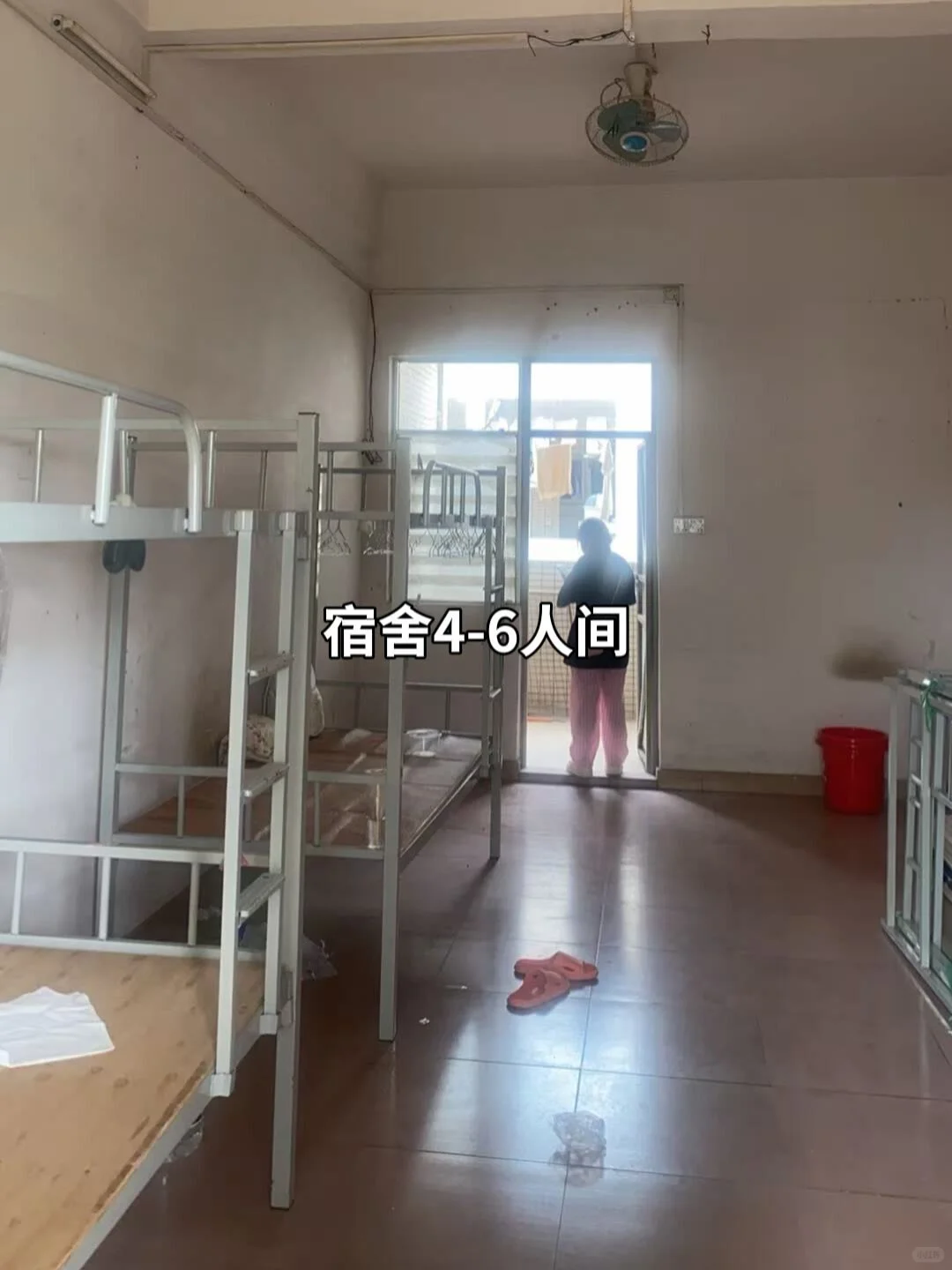 东莞玩具厂、长白班、一天220、包吃住
