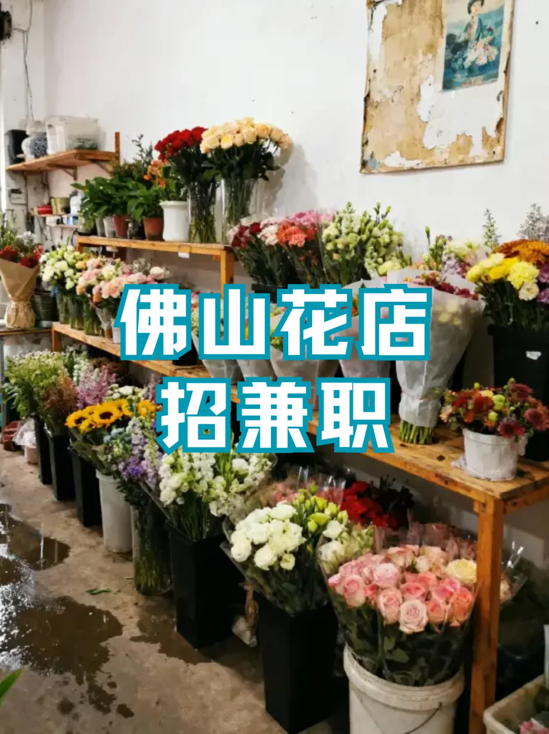 佛山｜花店佛山店招兼职