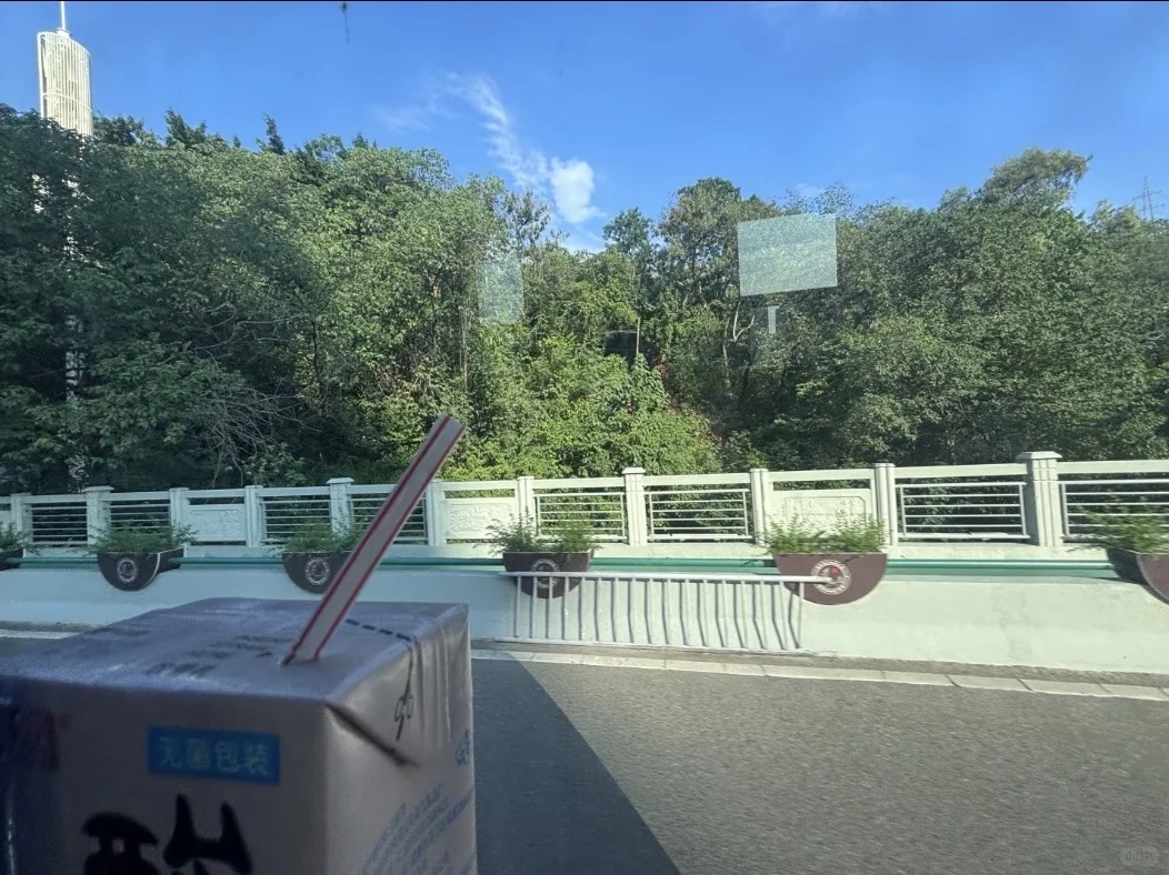 南充白土坝招人