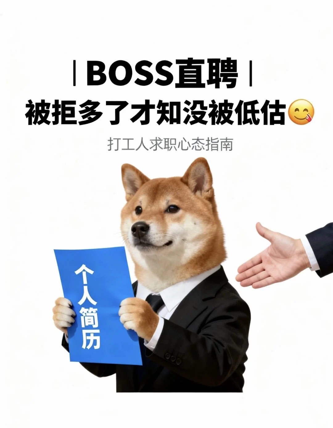 BOSS直聘上被拒？反而能摸清底线🙌