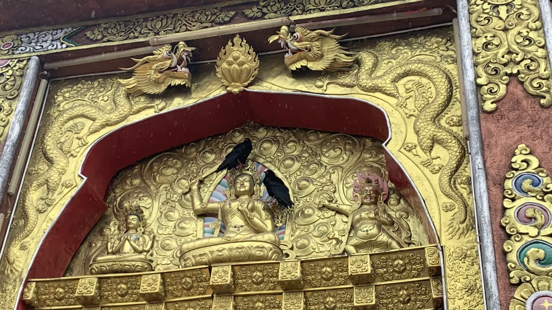 05年重庆女孩在玉树生活