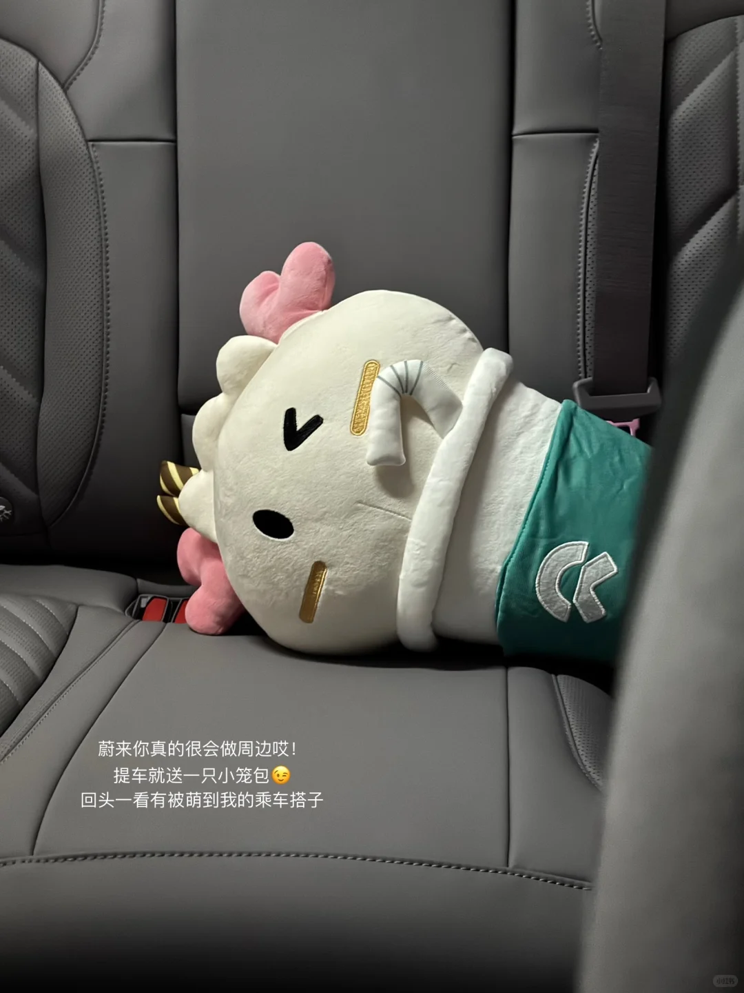 提车日记｜喜提蔚来 奔富未来💜