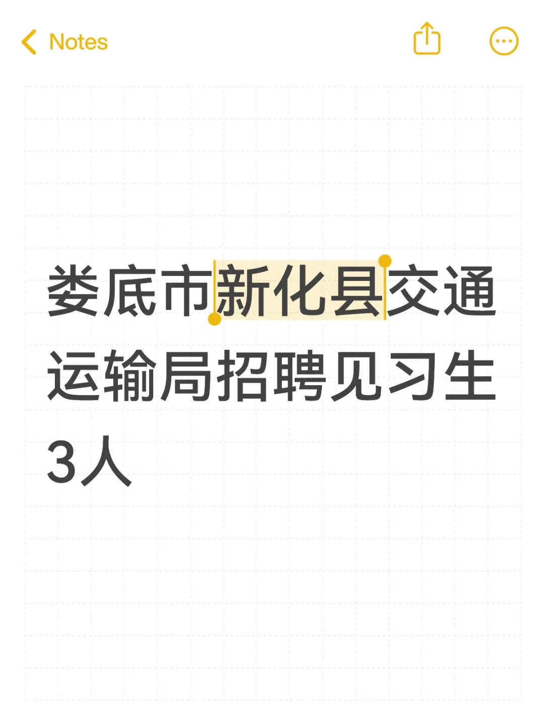 2025娄底市新化县交通运输局招见习生3人