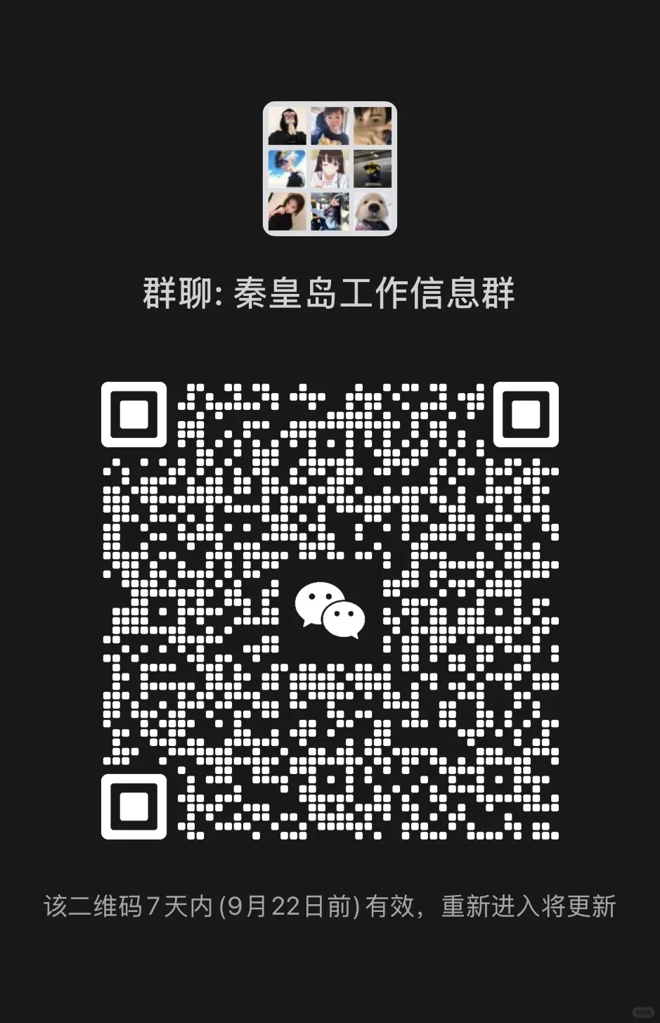 秦皇岛找工作信息共享来啦