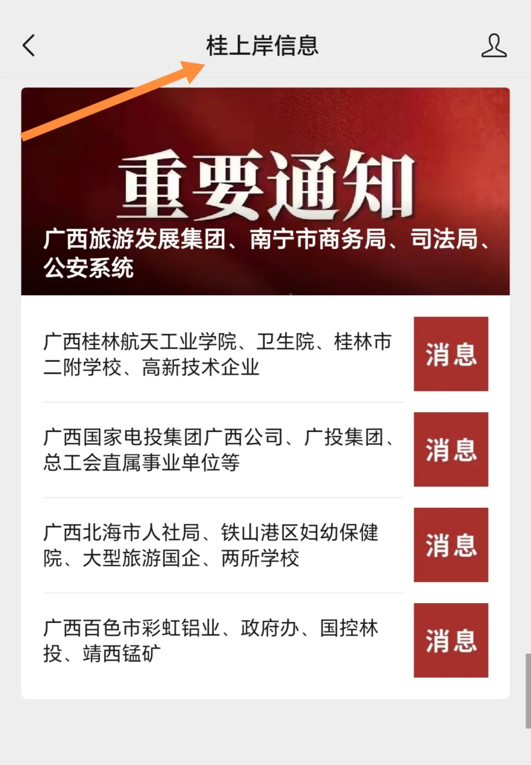 广西百色市彩虹铝业、政府办、国控林投、靖