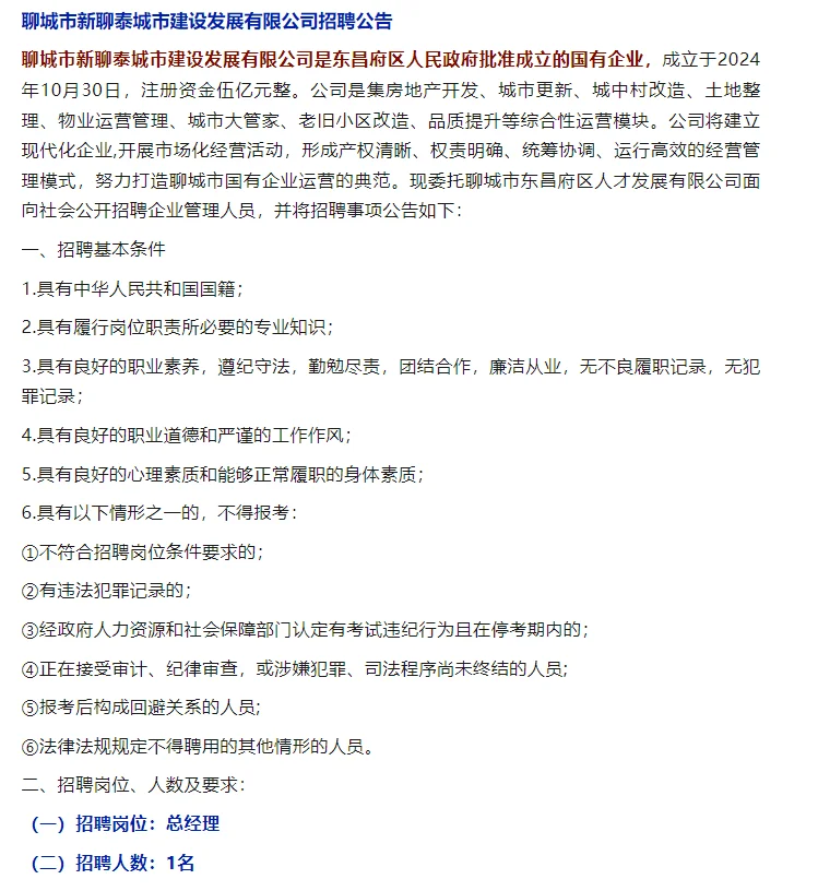 聊城市新聊泰城市建设发展有限公司招聘公告