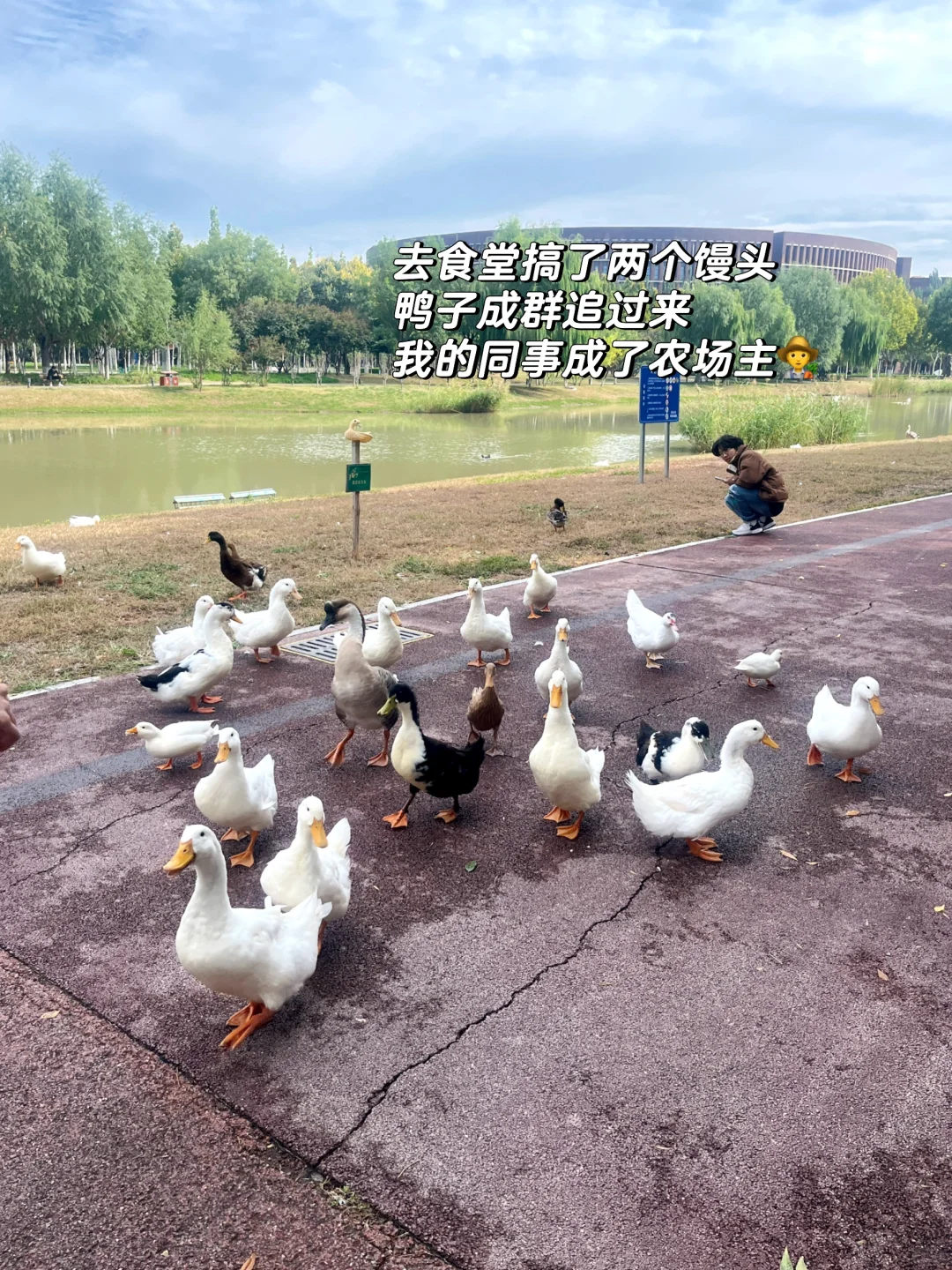 00新媒体-高校|降薪跳槽|我为什么这么选❓