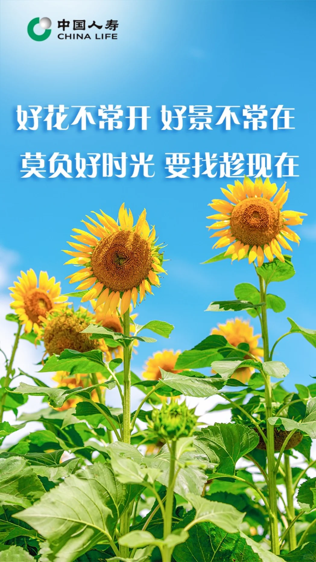 信阳居然也有月入过万的工作