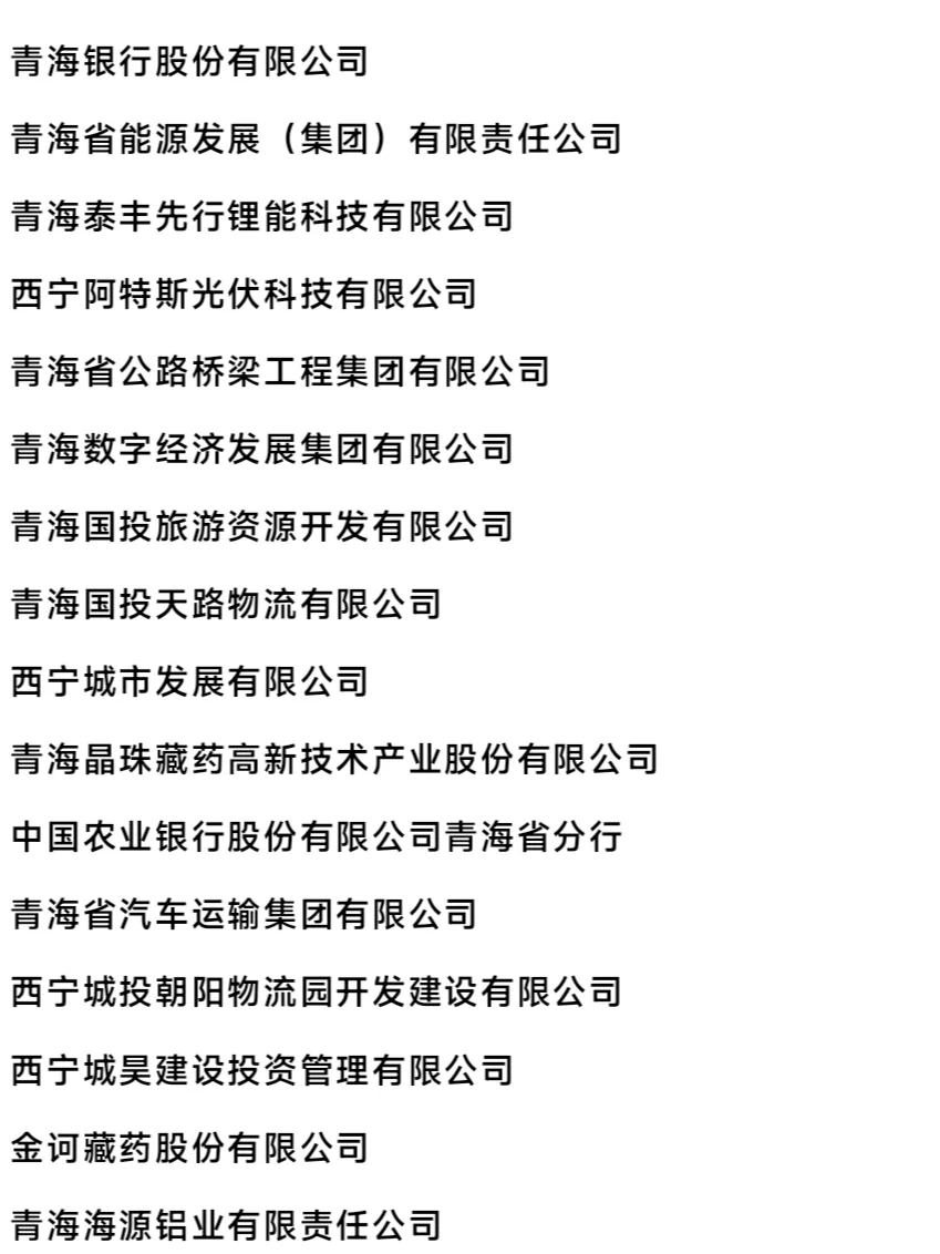 西宁头部企业