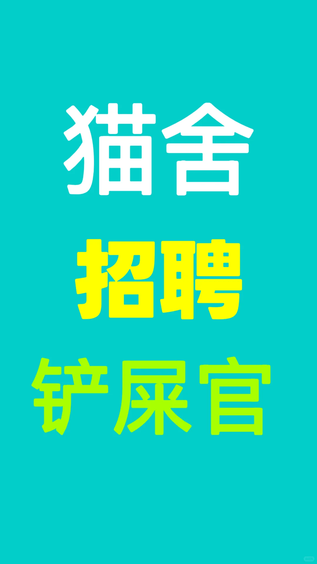 猫舍招聘保洁员