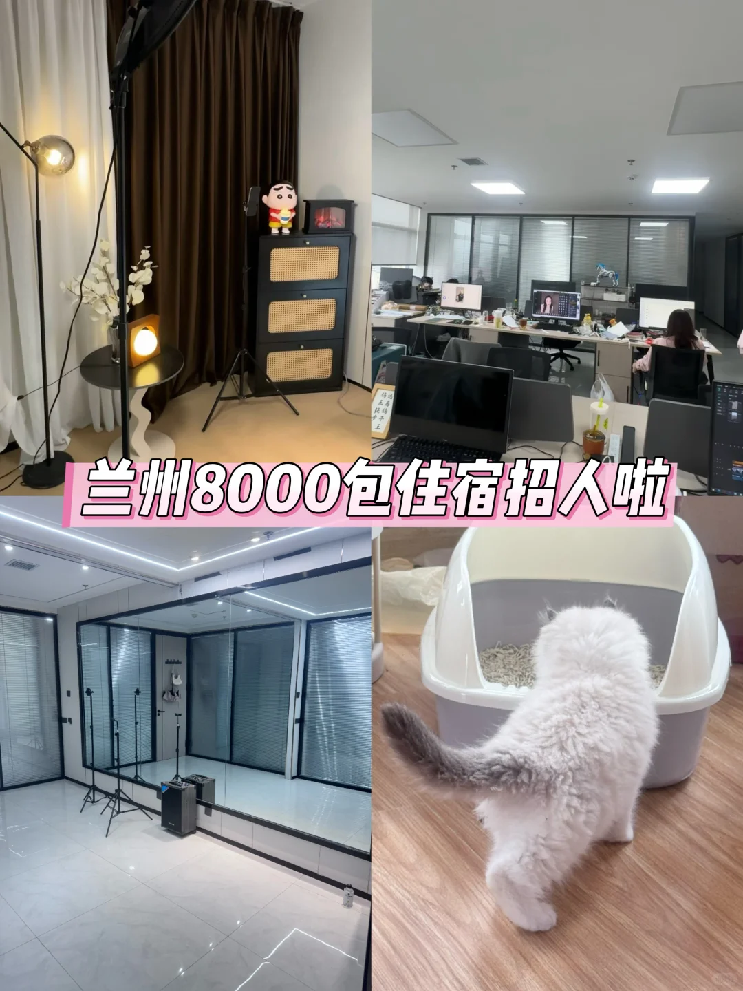 兰州丨00后初创公司招人啦