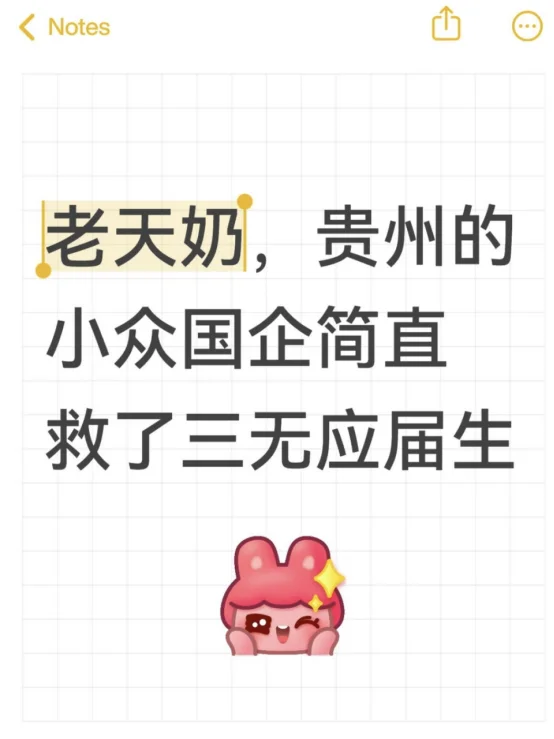 老天奶，贵州的小众国企简直救了三无应届生
