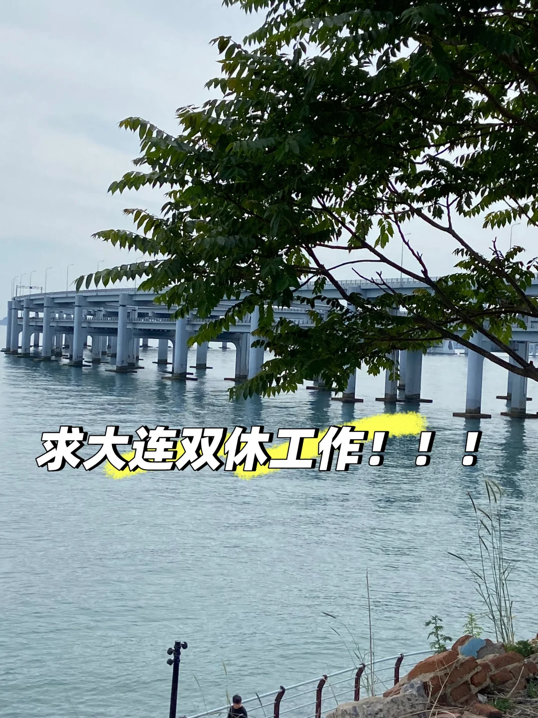 大连又没有双休的工作啊，求求了