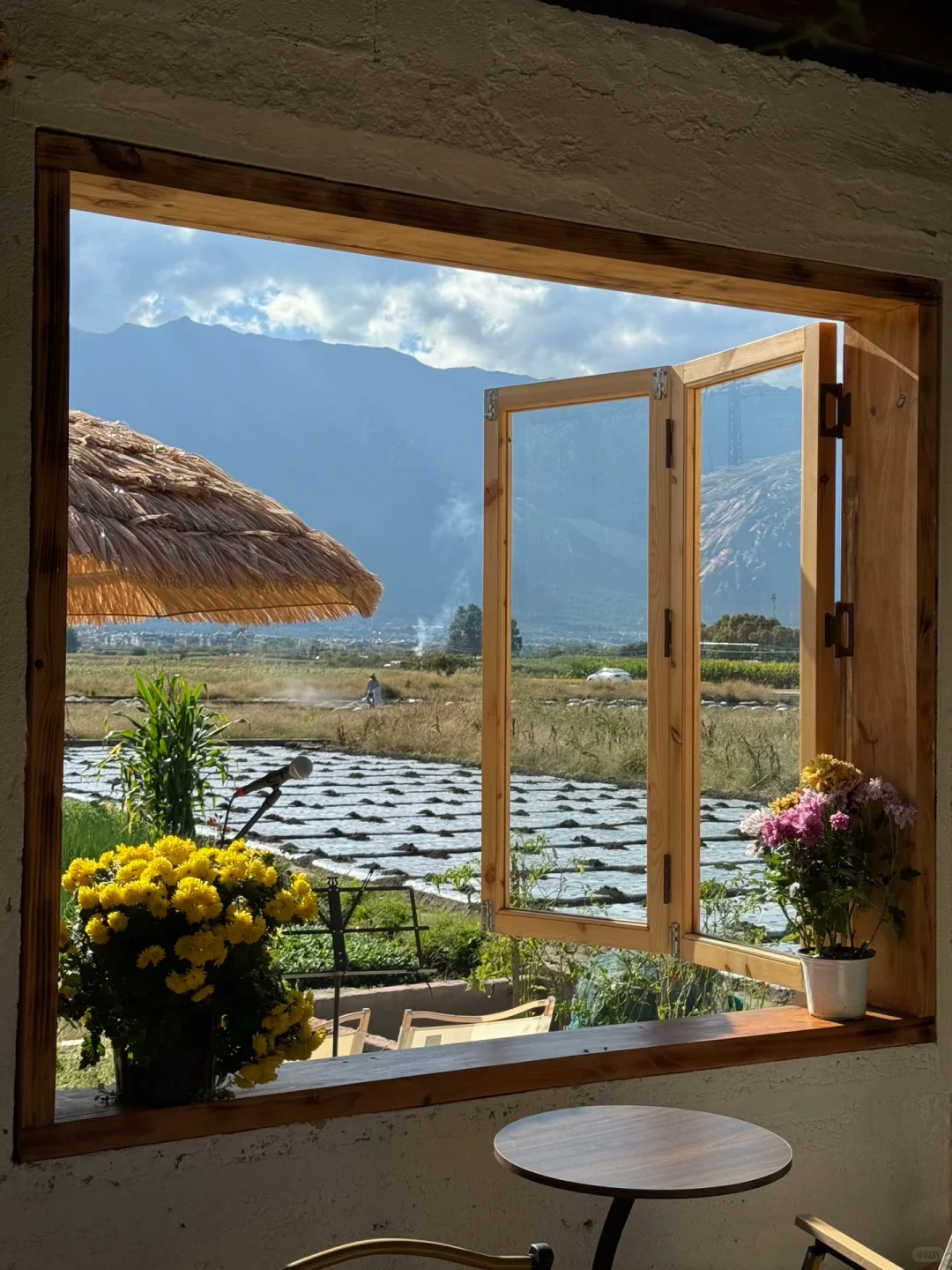 大理田园咖啡招聘义工