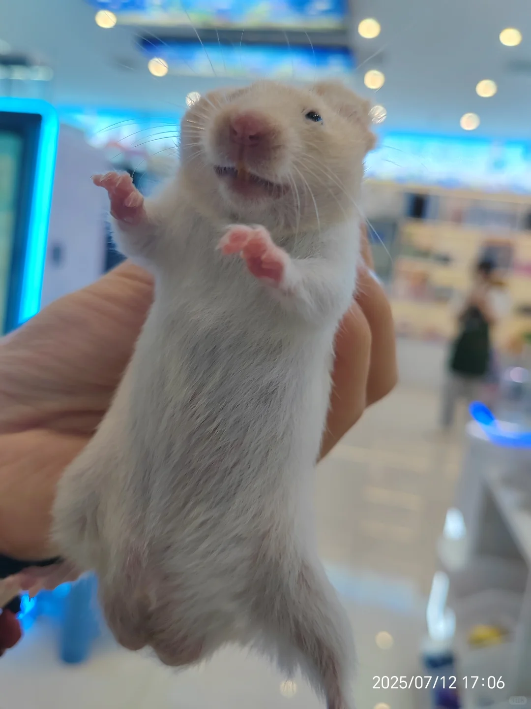 岗位汇总！有工作的看过来