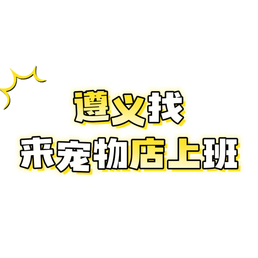 遵义招聘店面全职。