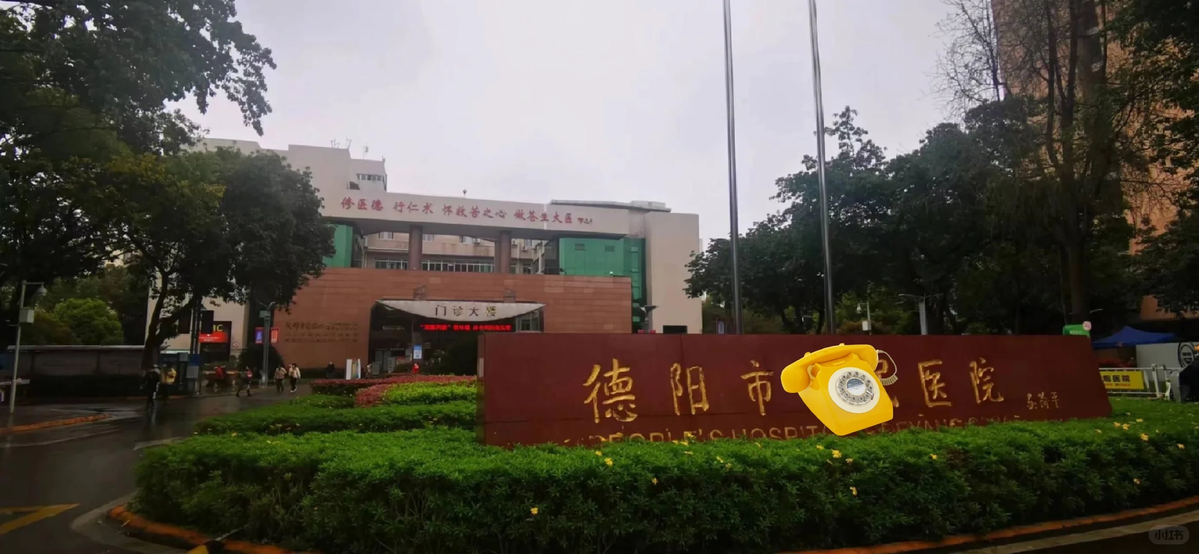 德阳市护士岗位缺口！护理专业小姐姐来围观