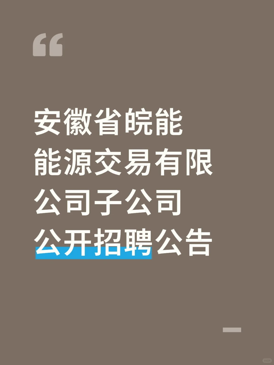 安徽省皖能能源交易有限公司子公司公开招聘