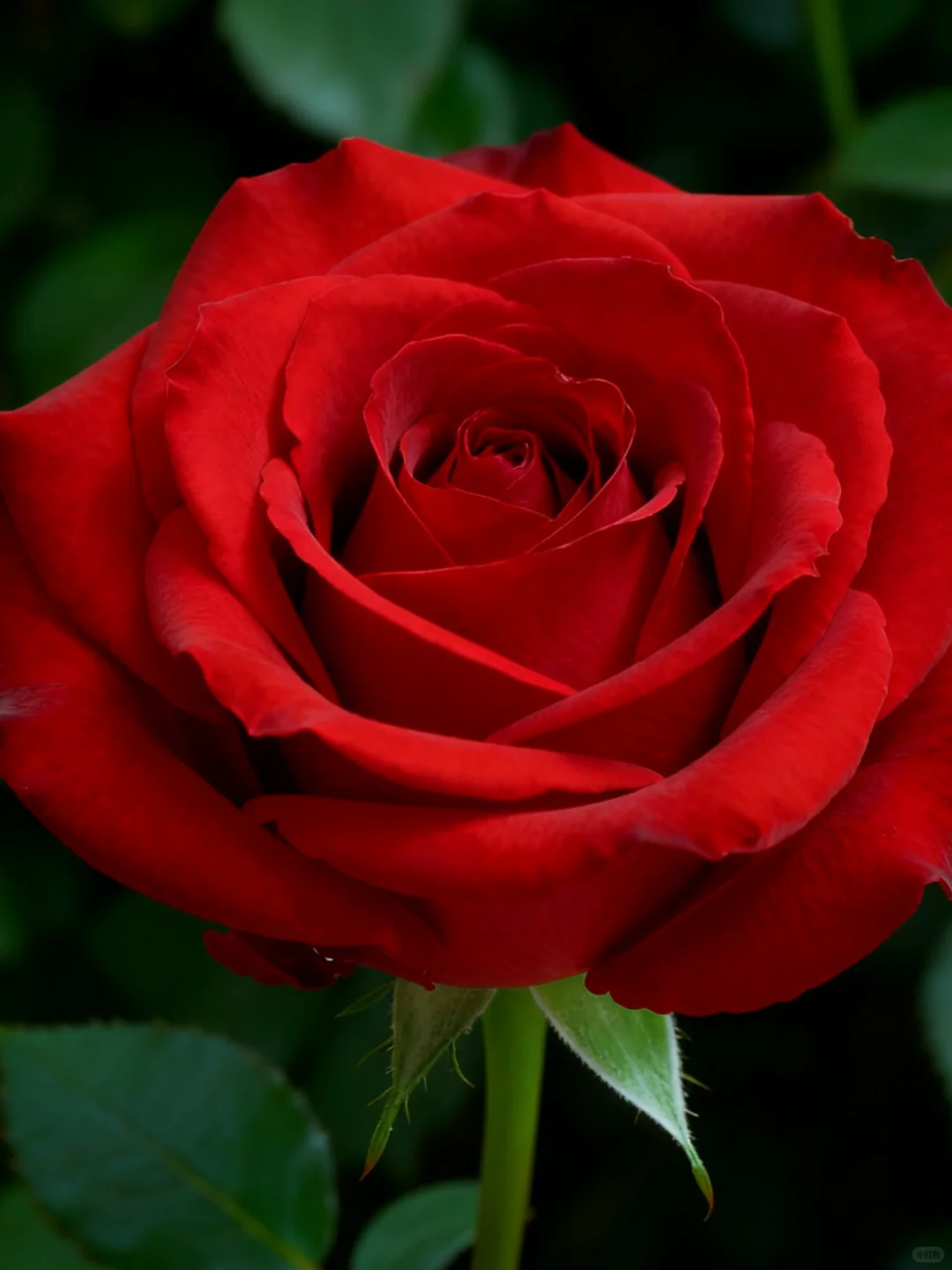 25龙岩新罗区社区工作者，这次是真的放水啊