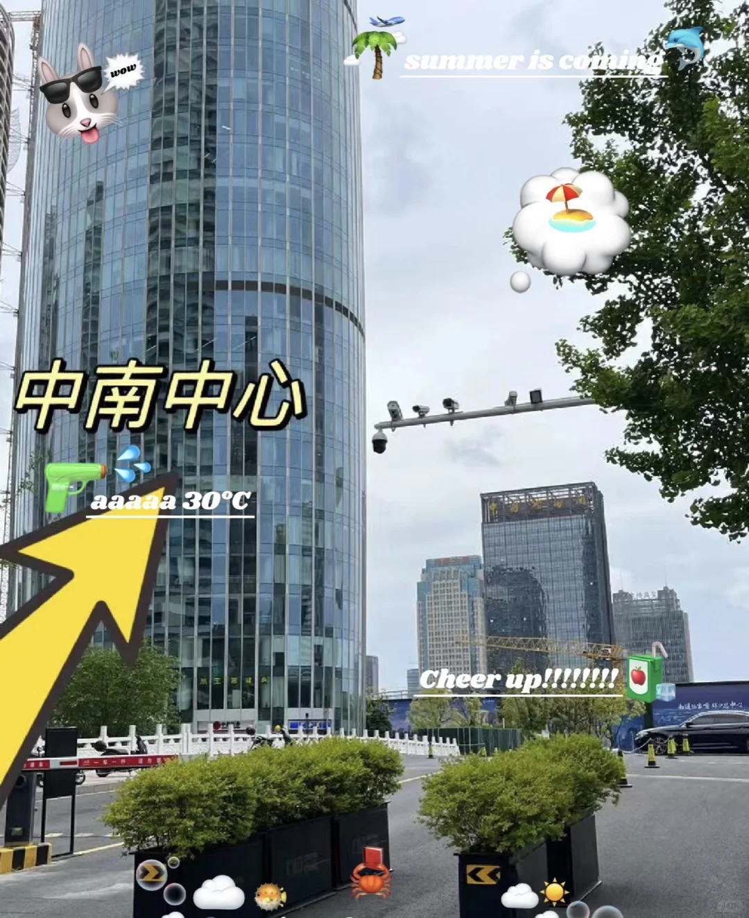 招人啦！市中心！双休！