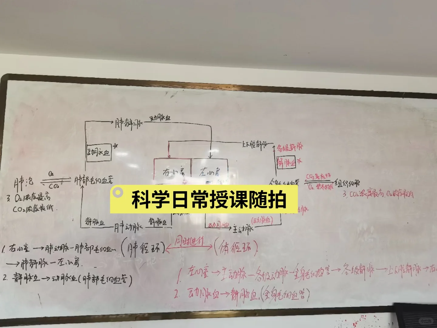 2023年青海省玉树市科学笔面双第一成功上岸