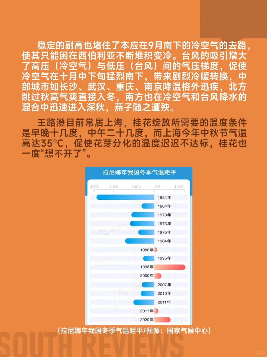 100多只燕子滞留东北，小燕崽被活活冻死