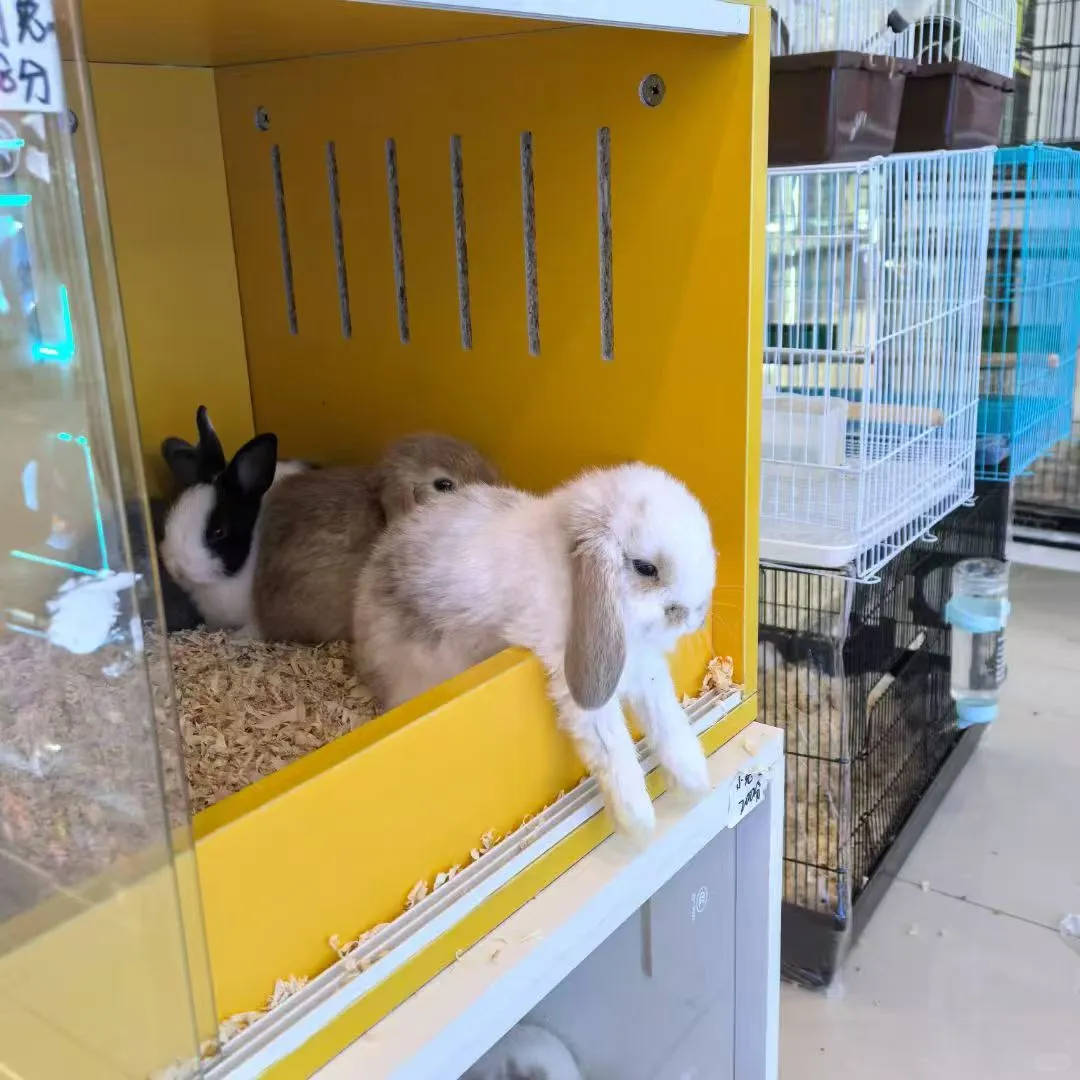 岗位汇总！有工作的看过来