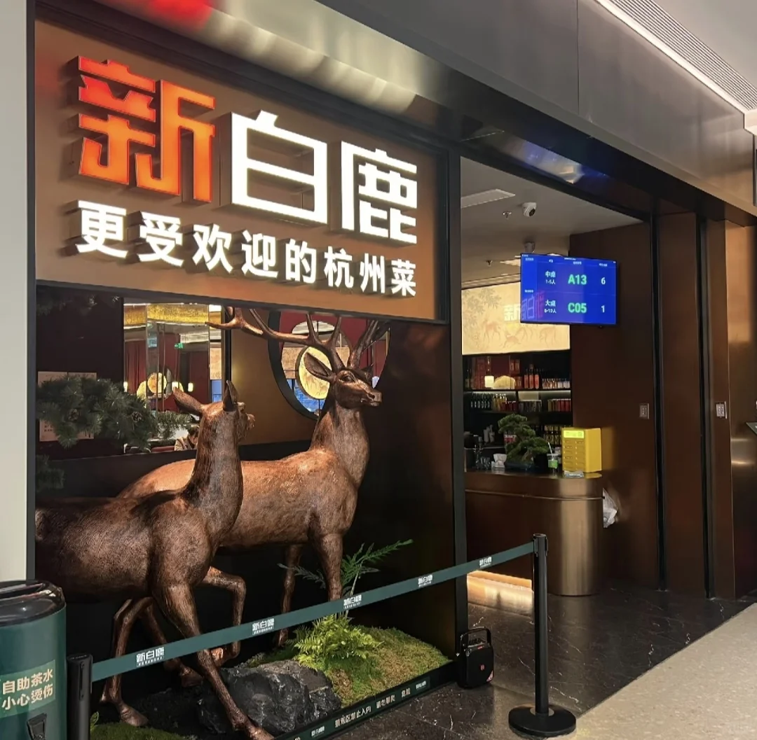 绍兴新白鹿日结兼职