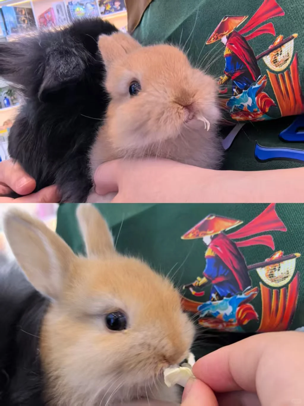 岗位汇总！有工作的看过来