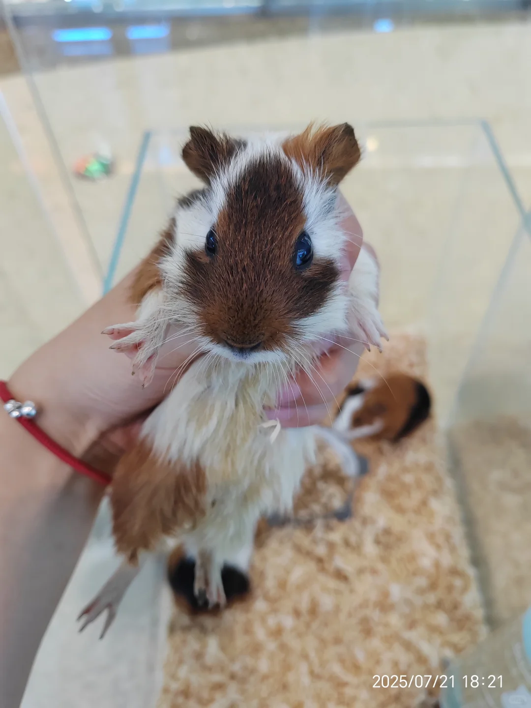 岗位汇总！没有工作的看过来！