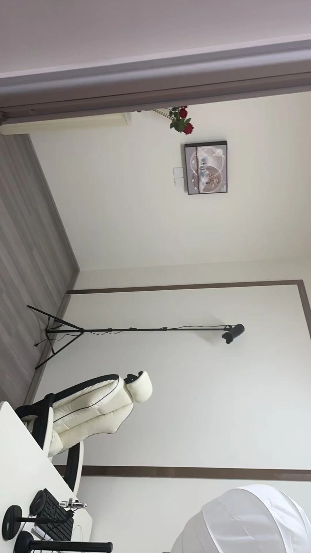 00后勇闯团播公司当苦命人事